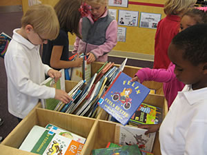 Classroom Book Bins - Storage Unit on Wheels