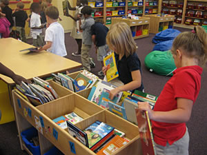 Library Book Bins - Storage Unit on Wheels