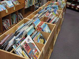 Library Book Bins - Storage Unit on Wheels